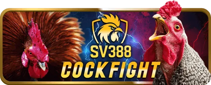 Đội ngũ hỗ trợ khách hàng chuyên nghiệp của vip666 nổ hũ